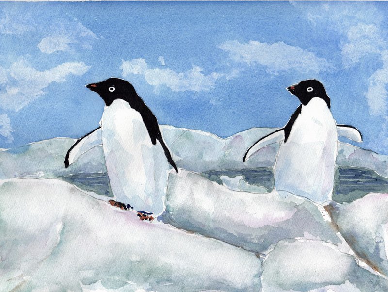 pinguiner.jpg